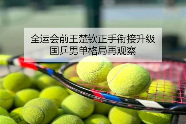 全运会前王楚钦正手衔接升级 国乒男单格局再观察